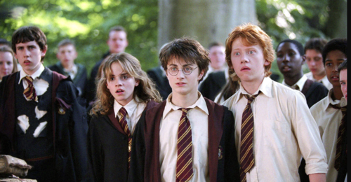 Харри Поттерын зохиолоор телевизийн олон ангит кино хийнэ